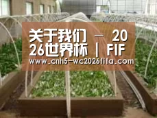 环境展示五