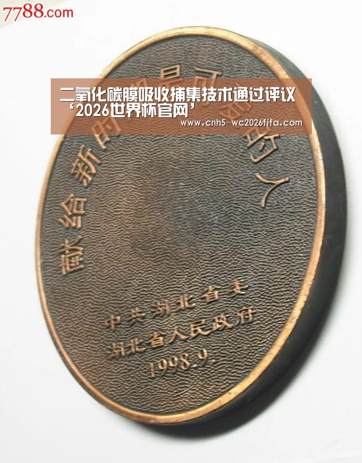 世界杯买球