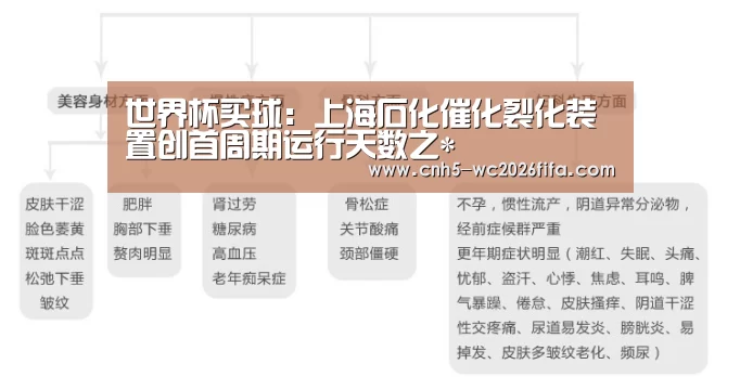 2026世界杯官网